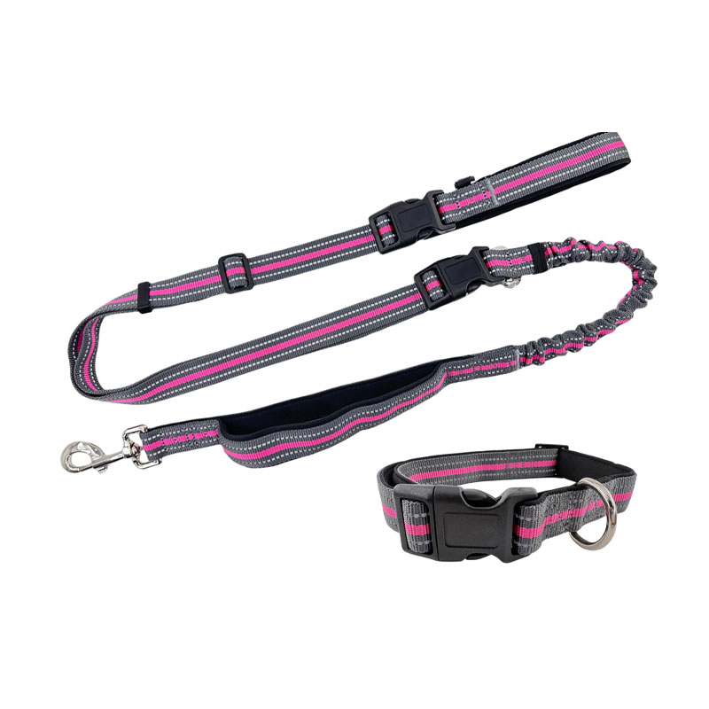 Laisse pour chien à double poignées pour la formation en matière de sécurité et de contrôle