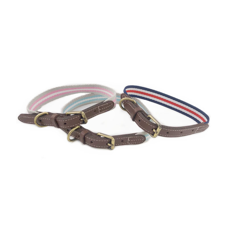 Collier de chien réglable en cuir PU