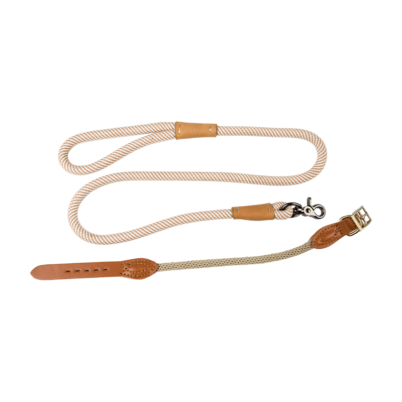 Laisse de corde pour chien extrêmement durable, laisse de dressage de qualité supérieure